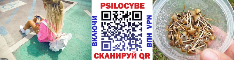 Псилоцибиновые грибы Psilocybine cubensis hydra ссылка Горняк